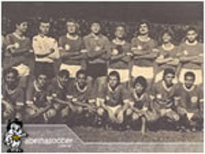 palmeiras1.png