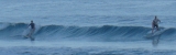 surf.jpg